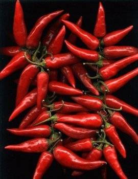 Косточка на большом пальце ноги болит и растет что делать