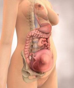 беременность аборт фото