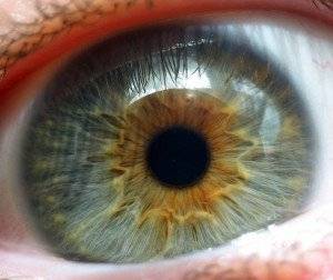 Ангиопатия сетчатки глаза – симптомы, причины, классификация и лечение