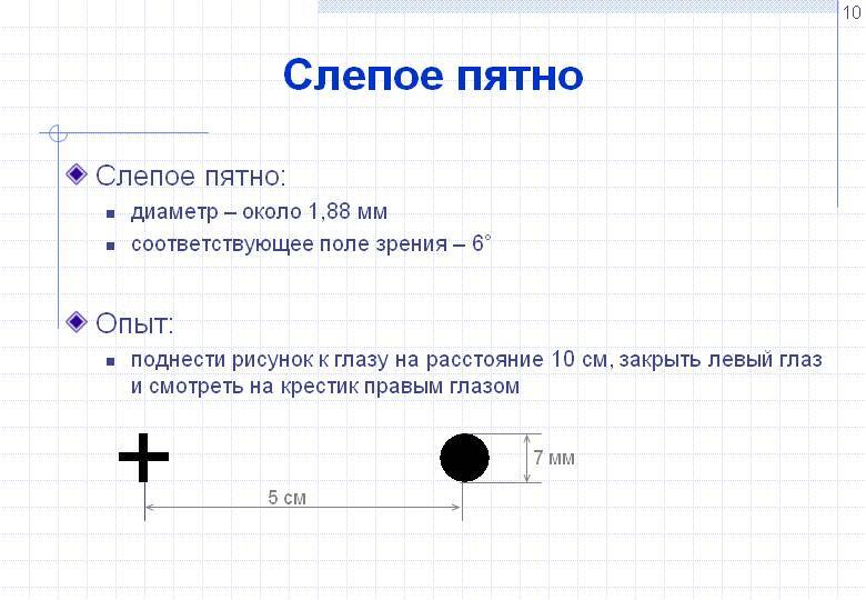 Слепое пятно глаза рисунок